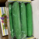 Huge Cucumber